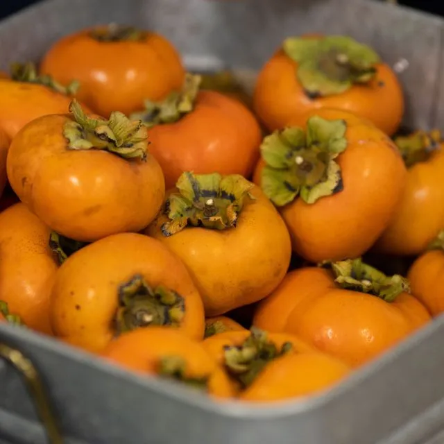 thumbnail for publication: Persimmons (Diospyros kaki)